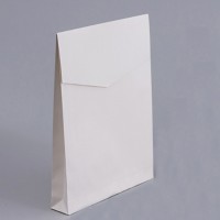 PC012 Custom-made paper bag shopping bag clothing express bag DIY design eco-friendly kraft paper packaging bag eco-friendly kraft paper envelope type eco-friendly bag supplier side view
